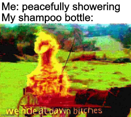 WAKANDA FOREVERAAAAAAAAAAAAAAAAAA | Me: peacefully showering
My shampoo bottle: | image tagged in we ride at dawn bitches,memes,shampoo | made w/ Imgflip meme maker