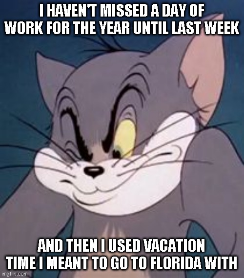 Tom cat | I HAVEN'T MISSED A DAY OF WORK FOR THE YEAR UNTIL LAST WEEK AND THEN I USED VACATION TIME I MEANT TO GO TO FLORIDA WITH | image tagged in tom cat | made w/ Imgflip meme maker