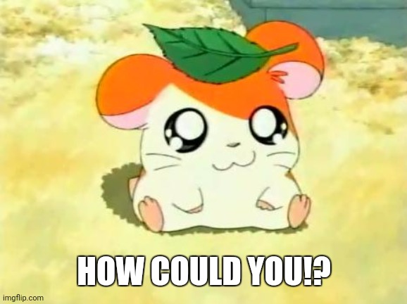 Hamtaro Meme | HOW COULD YOU!? | image tagged in memes,hamtaro | made w/ Imgflip meme maker