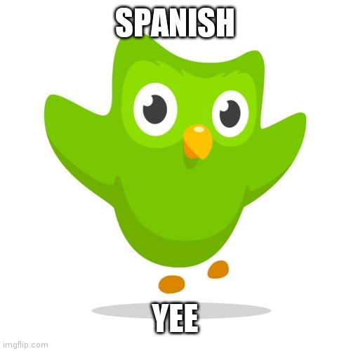 things duolingo teaches you | SPANISH; YEE | image tagged in things duolingo teaches you | made w/ Imgflip meme maker
