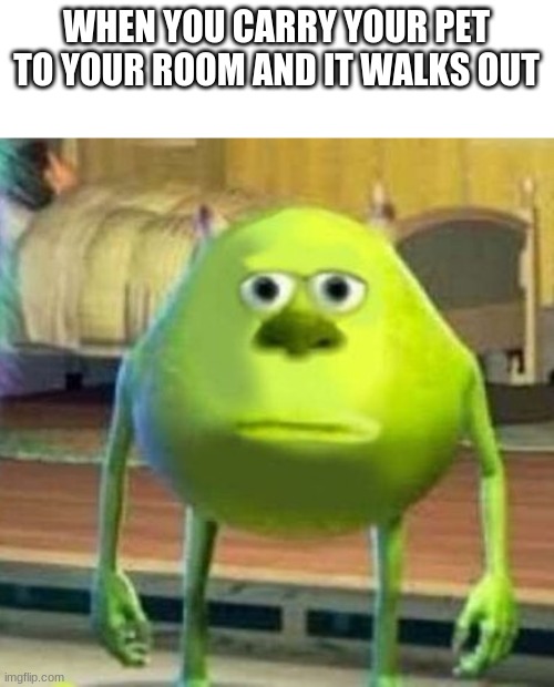 Mike wasowski sully face swap | WHEN YOU CARRY YOUR PET TO YOUR ROOM AND IT WALKS OUT | image tagged in mike wasowski sully face swap | made w/ Imgflip meme maker