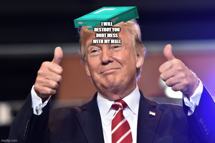 trumpy | I WILL DESTROY YOU DONT MESS WITH MY WALL | image tagged in trumpy | made w/ Imgflip meme maker