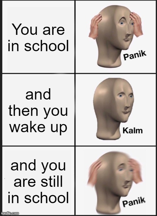 school life | You are in school; and then you wake up; and you are still in school | image tagged in memes,panik kalm panik | made w/ Imgflip meme maker