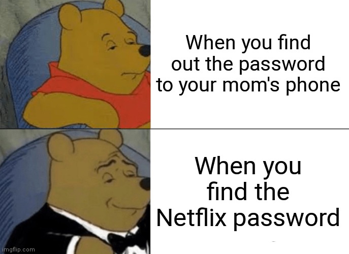 Tuxedo Winnie The Pooh | When you find out the password to your mom's phone; When you find the Netflix password | image tagged in memes,tuxedo winnie the pooh | made w/ Imgflip meme maker