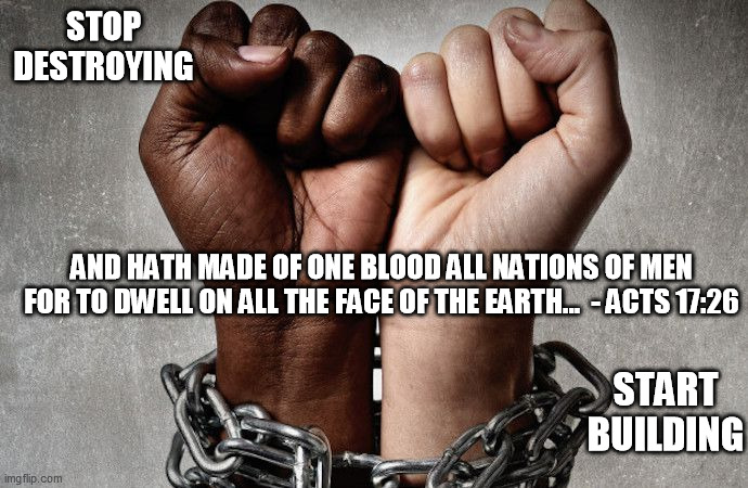 One blood | STOP DESTROYING; AND HATH MADE OF ONE BLOOD ALL NATIONS OF MEN FOR TO DWELL ON ALL THE FACE OF THE EARTH...  - ACTS 17:26; START BUILDING | image tagged in bible verse,bible,one race,one blood,stop racism | made w/ Imgflip meme maker