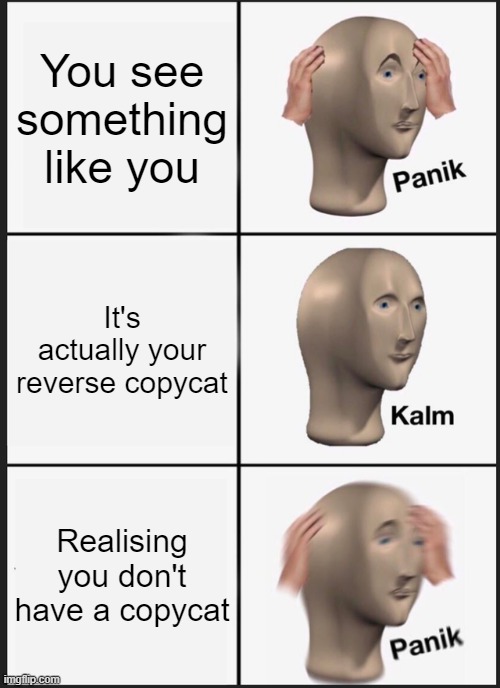 Oh no | You see something like you; It's actually your reverse copycat; Realising you don't have a copycat | image tagged in memes,panik kalm panik | made w/ Imgflip meme maker