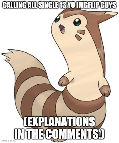 Hmm....still creepy even with a Furret template | CALLING ALL SINGLE 13 YO IMGFLIP GUYS; (EXPLANATIONS IN THE COMMENTS.) | image tagged in furret,imgshipping,coolish | made w/ Imgflip meme maker