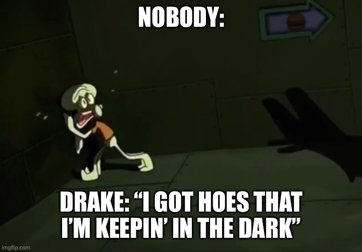 Drake=Plankton | NOBODY:; DRAKE: “I GOT HOES THAT I’M KEEPIN’ IN THE DARK” | image tagged in drake,squidward,moneyinthegrave,spongebob movie | made w/ Imgflip meme maker