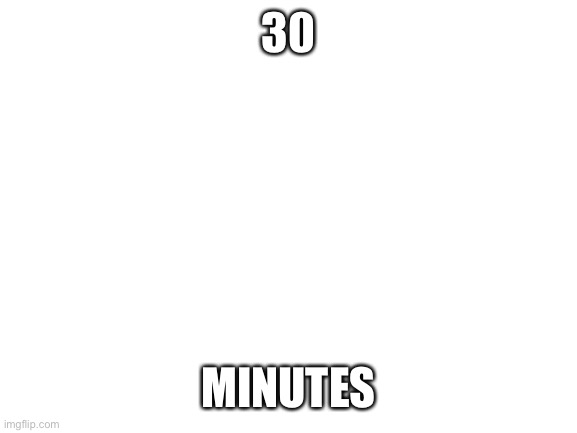 30 MINUTES | 30; MINUTES | image tagged in blank white template | made w/ Imgflip meme maker