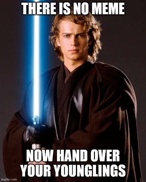 anakin | THERE IS NO MEME; NOW HAND OVER YOUR YOUNGLINGS | image tagged in anakin | made w/ Imgflip meme maker