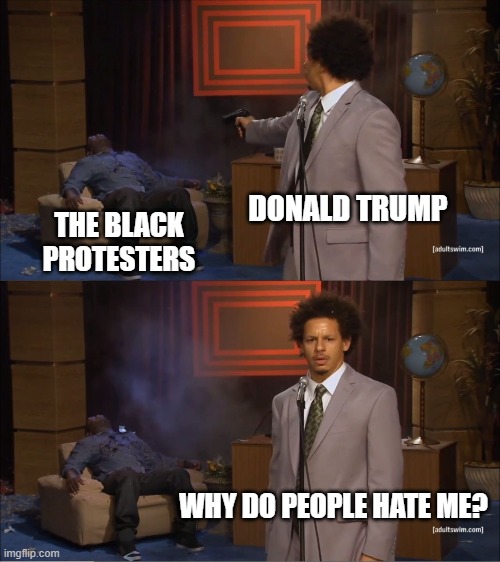 dOnAlD tRuMp Is DuMb | DONALD TRUMP; THE BLACK PROTESTERS; WHY DO PEOPLE HATE ME? | image tagged in memes,who killed hannibal | made w/ Imgflip meme maker