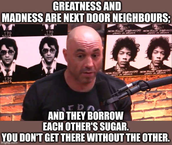 What? | GREATNESS AND MADNESS ARE NEXT DOOR NEIGHBOURS;; AND THEY BORROW EACH OTHER'S SUGAR. YOU DON'T GET THERE WITHOUT THE OTHER. | image tagged in joe rogan jre,quotes,joe rogan quote,joe rogan | made w/ Imgflip meme maker