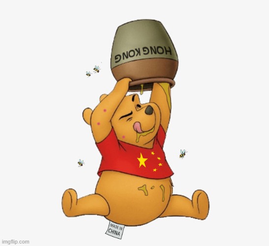 China & Hong Kong. One country, two systems | image tagged in hong kong,china,made in china,protesters,winnie the pooh | made w/ Imgflip meme maker