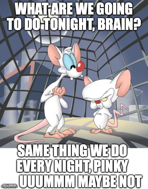Pinky and the brain | WHAT ARE WE GOING TO DO TONIGHT, BRAIN? SAME THING WE DO EVERY NIGHT, PINKY ..... UUUMMM MAYBE NOT | image tagged in pinky and the brain | made w/ Imgflip meme maker
