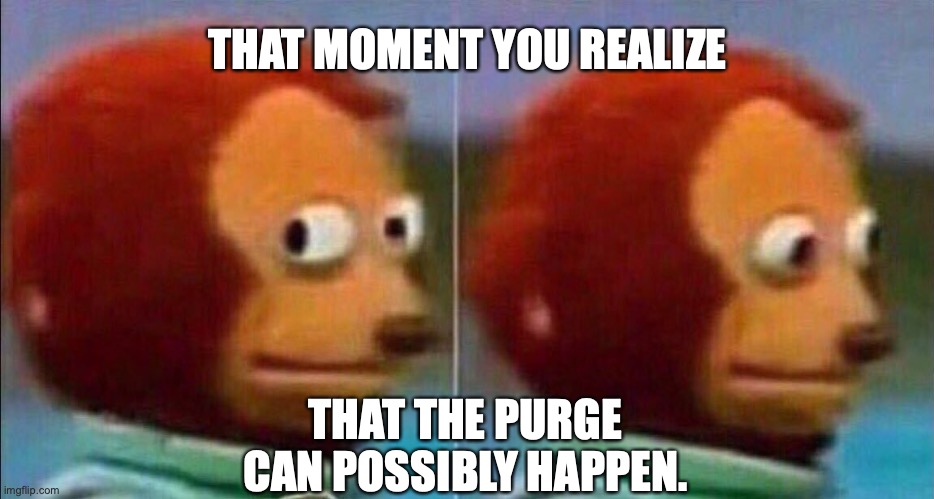 Monkey looking away | THAT MOMENT YOU REALIZE; THAT THE PURGE CAN POSSIBLY HAPPEN. | image tagged in monkey looking away | made w/ Imgflip meme maker
