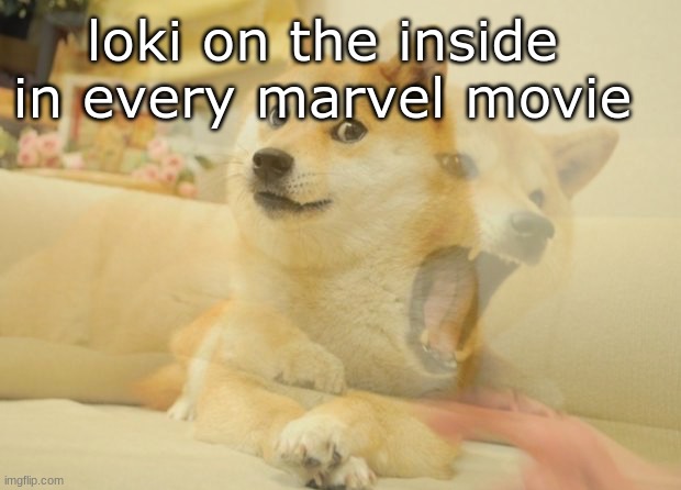 Doge mad and calm | loki on the inside in every marvel movie | image tagged in doge mad and calm | made w/ Imgflip meme maker