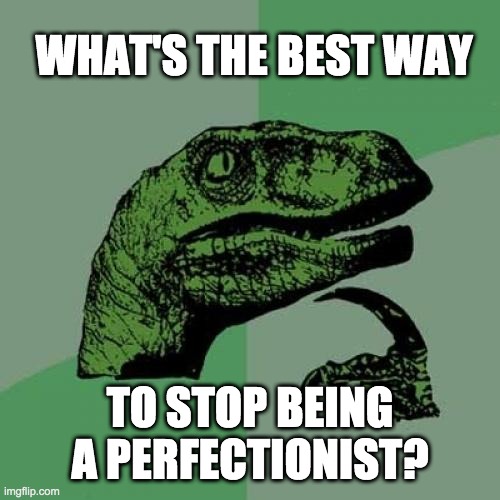 Perfectionism | WHAT'S THE BEST WAY; TO STOP BEING A PERFECTIONIST? | image tagged in memes,philosoraptor,perfect | made w/ Imgflip meme maker