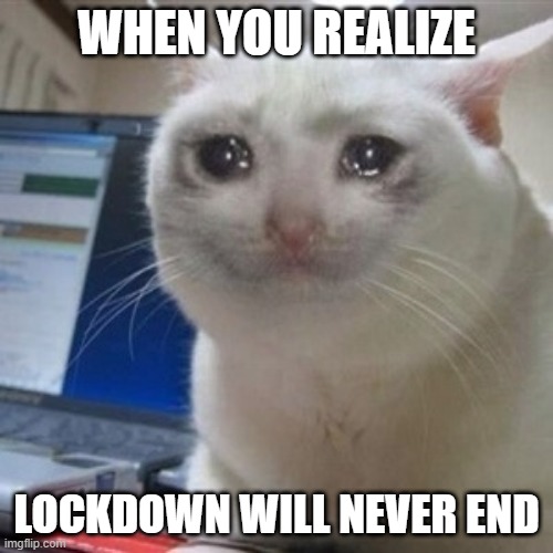 Crying cat | WHEN YOU REALIZE; LOCKDOWN WILL NEVER END | image tagged in crying cat | made w/ Imgflip meme maker