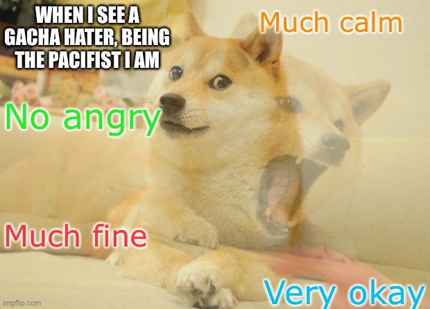 RAGING INSIDE | WHEN I SEE A GACHA HATER, BEING THE PACIFIST I AM; Much calm; No angry; Much fine; Very okay | image tagged in doge mad and calm | made w/ Imgflip meme maker