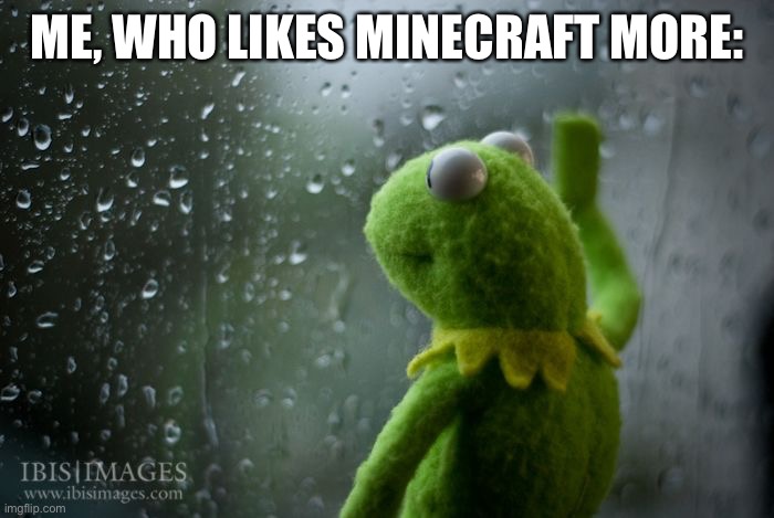 kermit window | ME, WHO LIKES MINECRAFT MORE: | image tagged in kermit window | made w/ Imgflip meme maker