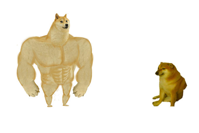 High Quality Swole Doge vs Cheems Blank Meme Template