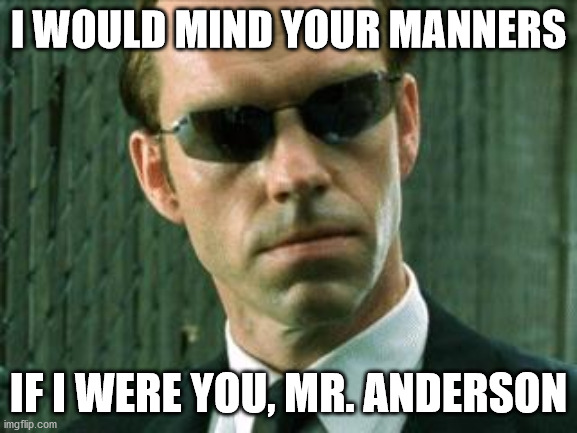 Agent Smith Matrix | I WOULD MIND YOUR MANNERS IF I WERE YOU, MR. ANDERSON | image tagged in agent smith matrix | made w/ Imgflip meme maker