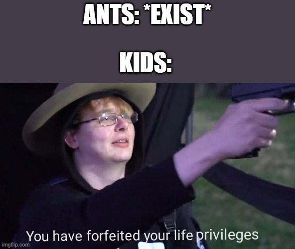ants vs. kids | ANTS: *EXIST*; KIDS: | image tagged in you have forfeited your life privileges,memes,ants,kids,funny | made w/ Imgflip meme maker