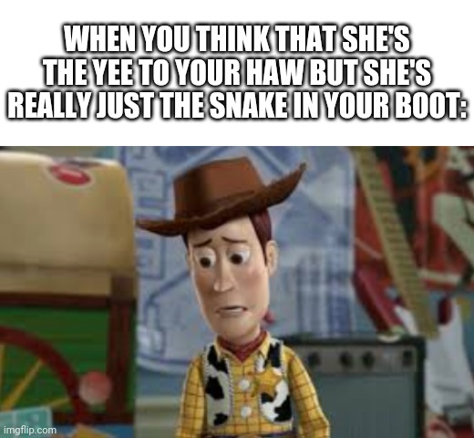 WHEN YOU THINK THAT SHE'S THE YEE TO YOUR HAW BUT SHE'S REALLY JUST THE SNAKE IN YOUR BOOT: | made w/ Imgflip meme maker