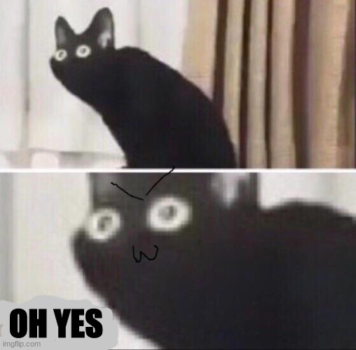 Oh no cat | OH YES | image tagged in oh no cat | made w/ Imgflip meme maker