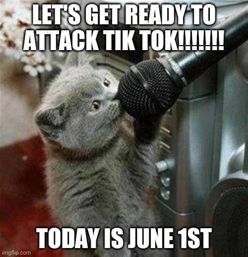 The Important Announcement Made By LaceyRobbins1 (me) | LET'S GET READY TO ATTACK TIK TOK!!!!!!! TODAY IS JUNE 1ST | image tagged in cat microphone | made w/ Imgflip meme maker