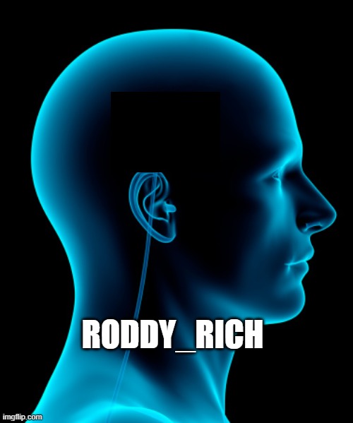 small brain | RODDY_RICH | image tagged in small brain | made w/ Imgflip meme maker