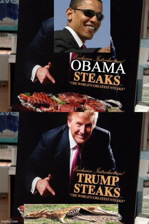 I miss an adult in charge. | OBAMA | image tagged in trump steaks,epic fail,maga,donald trump is an idiot,politics,obama | made w/ Imgflip meme maker