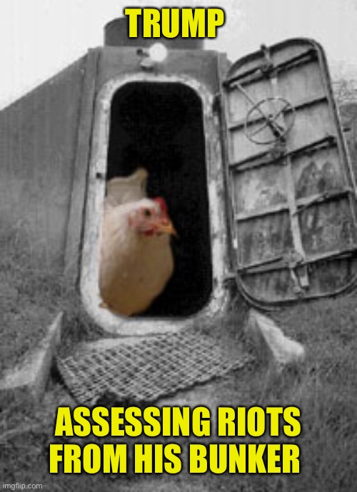 TRUMP ASSESSING RIOTS FROM HIS BUNKER | made w/ Imgflip meme maker