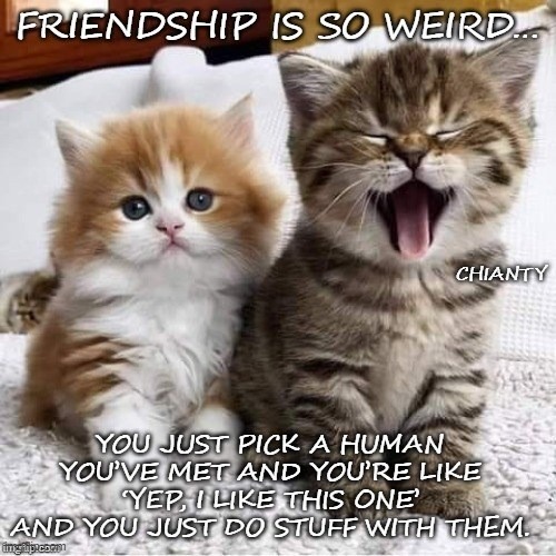 Friendship | image tagged in am i a joke to you | made w/ Imgflip meme maker