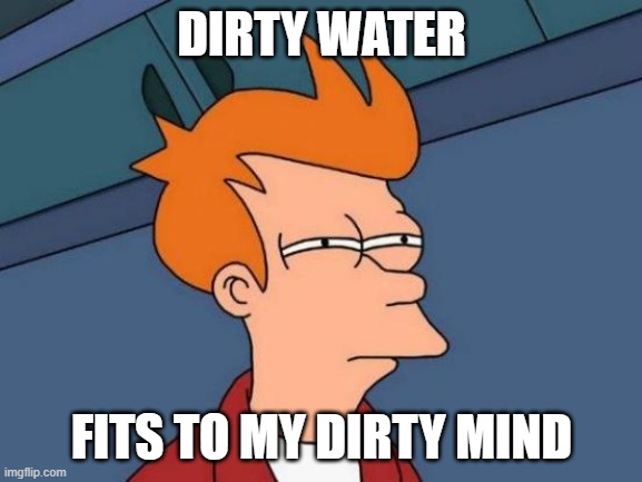 Futurama Fry | DIRTY WATER; FITS TO MY DIRTY MIND | image tagged in memes,futurama fry | made w/ Imgflip meme maker