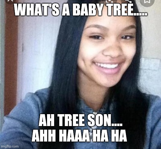 WHAT'S A BABY TREE..... AH TREE SON.... AHH HAAA HA HA | made w/ Imgflip meme maker