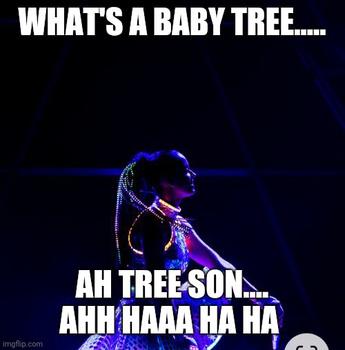 WHAT'S A BABY TREE..... AH TREE SON.... AHH HAAA HA HA | made w/ Imgflip meme maker