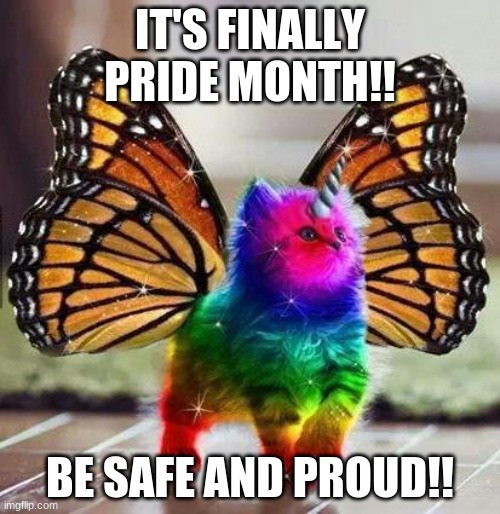 Pride month | IT'S FINALLY PRIDE MONTH!! BE SAFE AND PROUD!! | image tagged in rainbow unicorn butterfly kitten | made w/ Imgflip meme maker