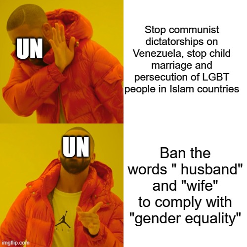 The truth about United Nations | Stop communist dictatorships on Venezuela, stop child marriage and persecution of LGBT people in Islam countries; UN; UN; Ban the words " husband" and "wife" to comply with "gender equality" | image tagged in memes,drake hotline bling | made w/ Imgflip meme maker
