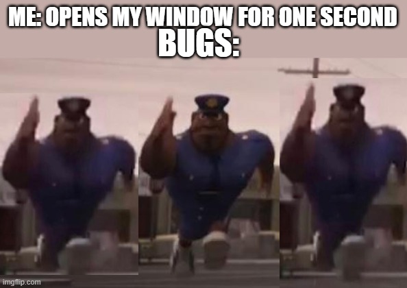 officer earl meme | ME: OPENS MY WINDOW FOR ONE SECOND; BUGS: | image tagged in officer earl meme | made w/ Imgflip meme maker