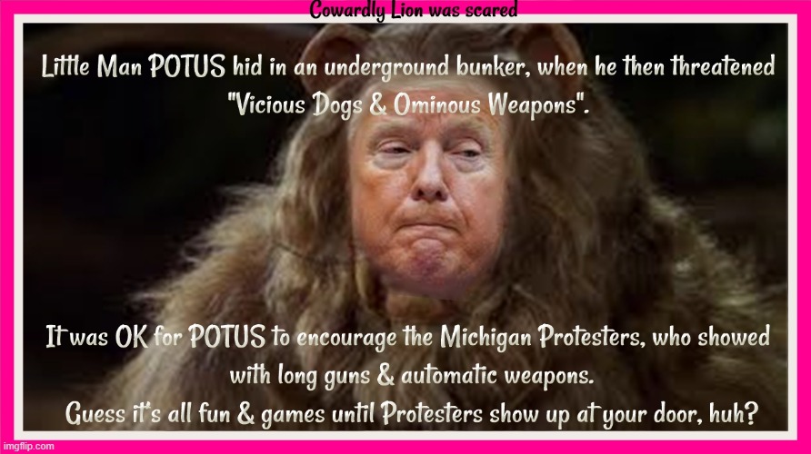 Cowardly Lion was scared | image tagged in donald trump is a little man | made w/ Imgflip meme maker
