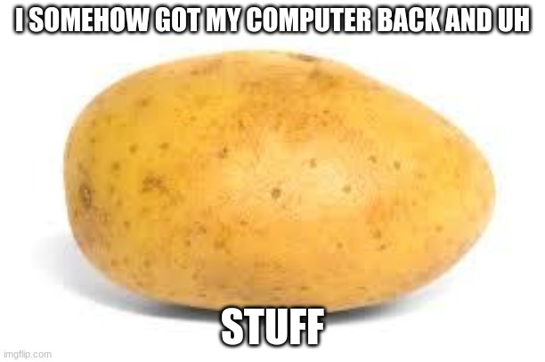 Potato | I SOMEHOW GOT MY COMPUTER BACK AND UH; STUFF | image tagged in potato | made w/ Imgflip meme maker