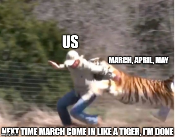 TIGER MARCH I'M DONE | US; MARCH, APRIL, MAY; NEXT TIME MARCH COME IN LIKE A TIGER, I'M DONE | image tagged in tiger king,covid-19,covid19,covid,covidiots,2020 | made w/ Imgflip meme maker