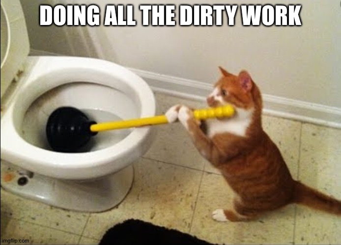 Cat plunging toilet | DOING ALL THE DIRTY WORK | image tagged in cat plunging toilet | made w/ Imgflip meme maker