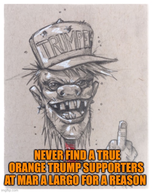 NEVER FIND A TRUE ORANGE TRUMP SUPPORTERS AT MAR A LARGO FOR A REASON | made w/ Imgflip meme maker