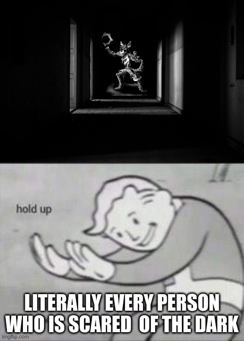 what? | LITERALLY EVERY PERSON WHO IS SCARED  OF THE DARK | image tagged in fallout hold up | made w/ Imgflip meme maker