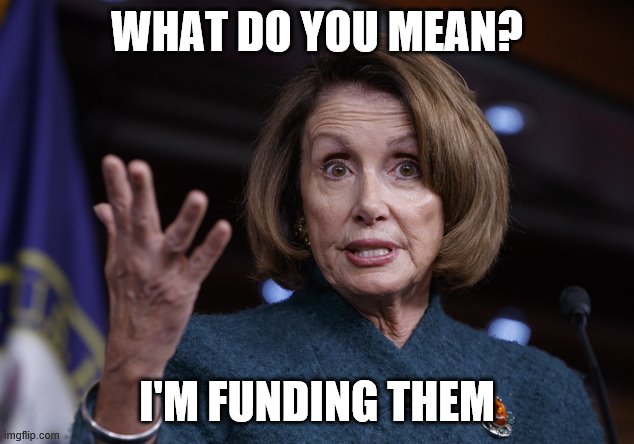 Good old Nancy Pelosi | WHAT DO YOU MEAN? I'M FUNDING THEM | image tagged in good old nancy pelosi | made w/ Imgflip meme maker