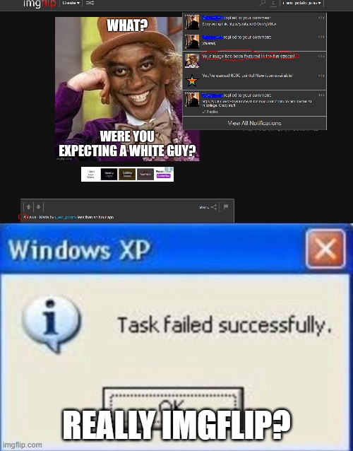 REALLY IMGFLIP? | image tagged in task failed successfully | made w/ Imgflip meme maker