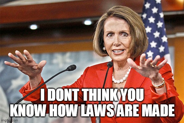 Nancy Pelosi is crazy | I DONT THINK YOU KNOW HOW LAWS ARE MADE | image tagged in nancy pelosi is crazy | made w/ Imgflip meme maker