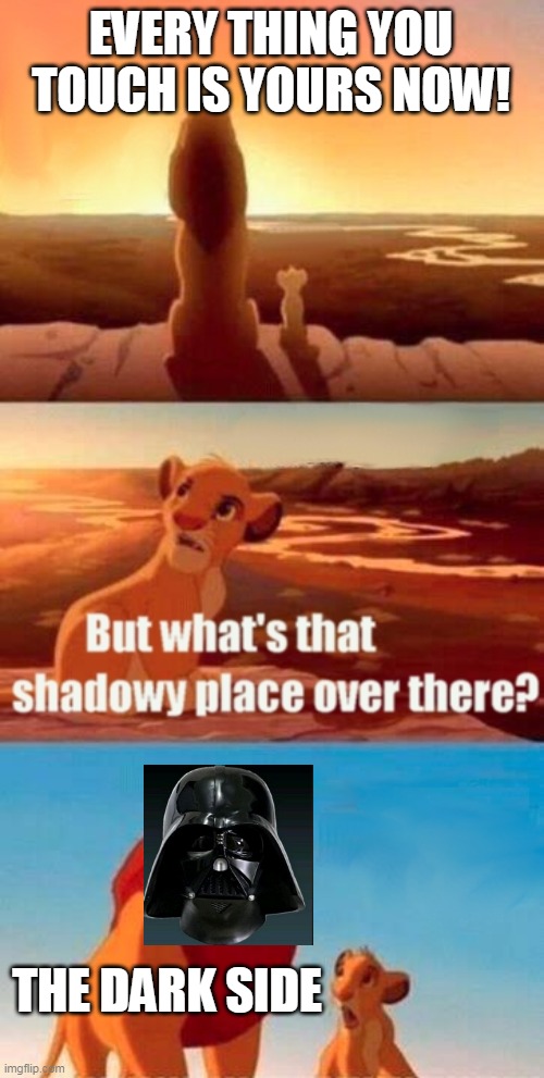 Simba Shadowy Place | EVERY THING YOU TOUCH IS YOURS NOW! THE DARK SIDE | image tagged in memes,simba shadowy place | made w/ Imgflip meme maker